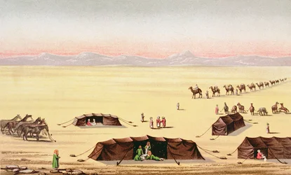 Il nostro campo nel deserto